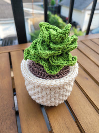 Thumbnail for Crochet Potted Succulent