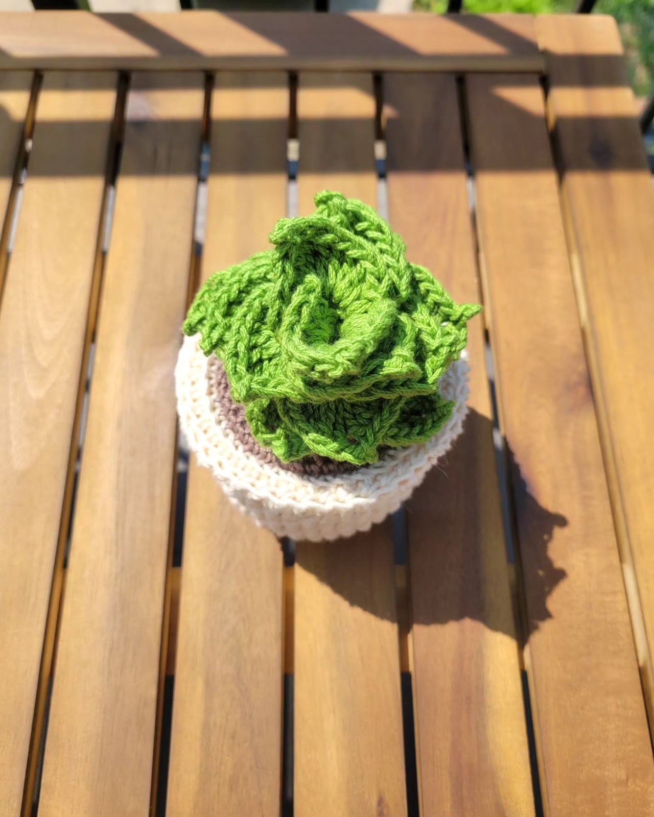 Crochet Potted Succulent