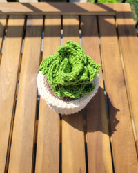 Thumbnail for Crochet Potted Succulent